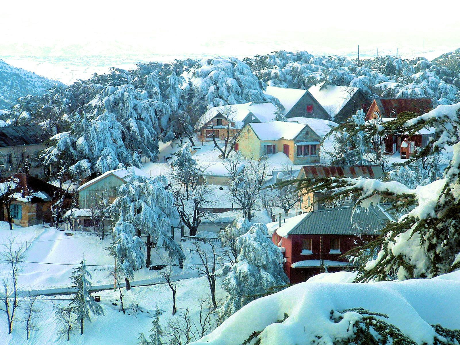 Park Nationale du Chréa